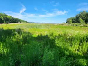 Old Bainbridge County Park