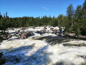 Paanayarvi