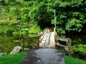 Swine Creek Reservation