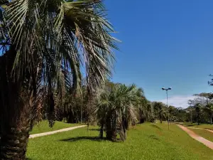 Lineal Cainguás Park