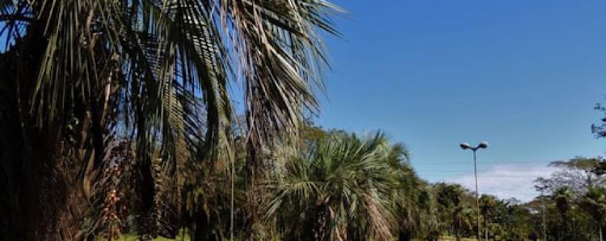 Lineal Cainguás Park