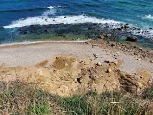 Rodman's Hollow