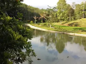 Hutan Kota Arga Makmur