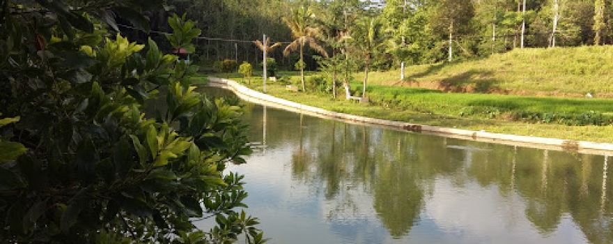 Hutan Kota Arga Makmur