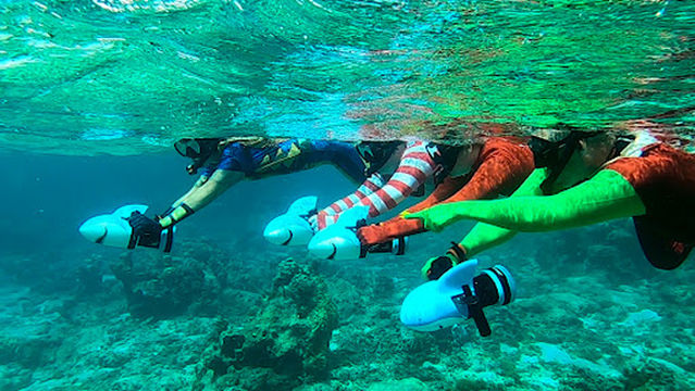 'ATAE : Safari Océan ~ Tahiti