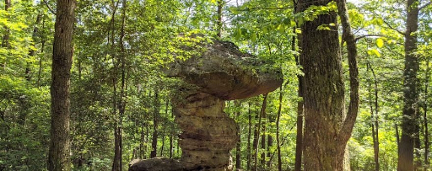 Shackleford Ridge County Park, Signal Mountain Tennessee