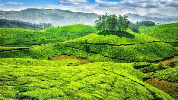 Ooty Lake View point