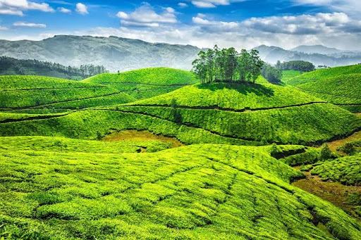 Ooty Lake View point
