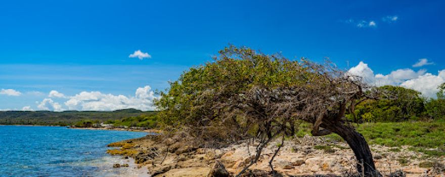 Playa de Tamarindo