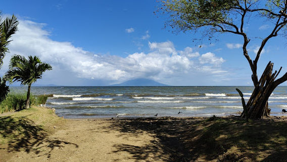 Rivas