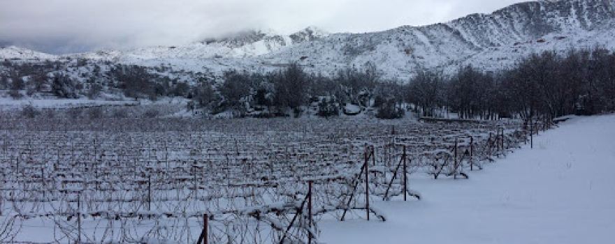 Karam Wines