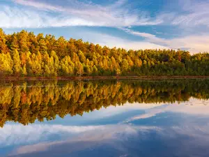 Clear Lake Nature Reserve