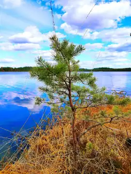 Kirikumäe matkarajad
