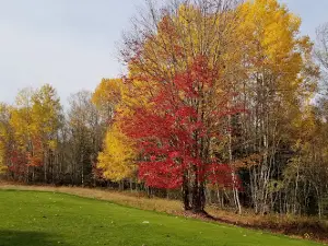 Sussex Golf & Curling Club