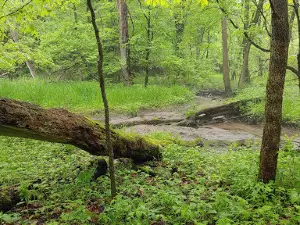 Calkins Nature Area