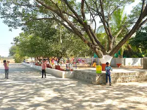 Chinchani Gramin Krushi Paryatan Kendra