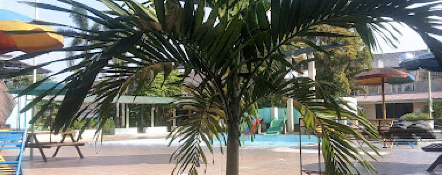 Kolam Renang DIM (Darul Ilmi Murni)