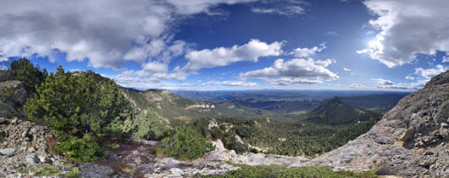 Roca d'Auró