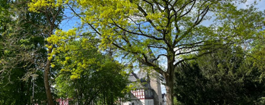 Kurpark