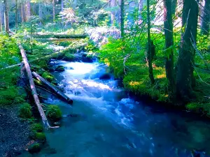 Little Zigzag Falls