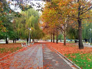 Park Sunny Garden