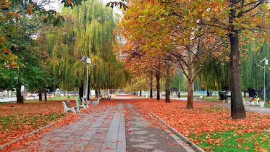 Park Sunny Garden