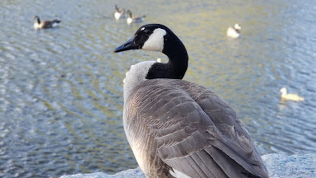 Bay Beach Wildlife Sanctuary Trailhead
