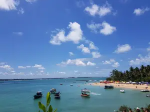 Ilha de Santo Aleixo