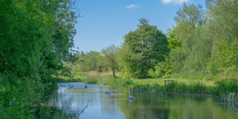 Avon Springs Fishing Lakes