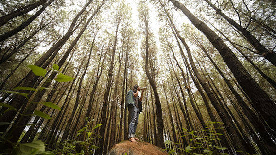 Camping Ground Bukit 1000 Bintang