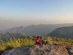 Anaari fort monro