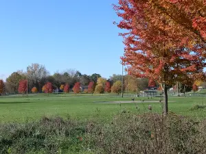 Showboat Park