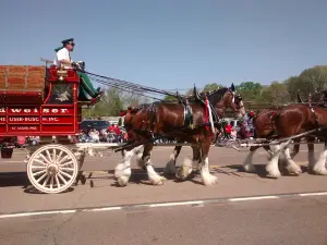 Henry County Fair Association