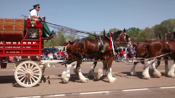 Henry County Fair Association