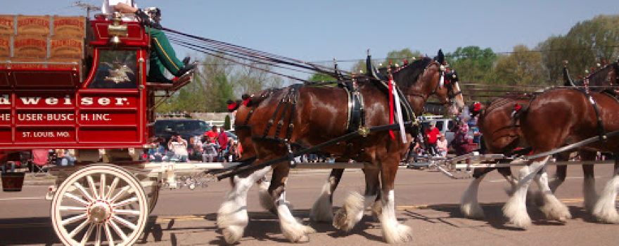 Henry County Fair Association