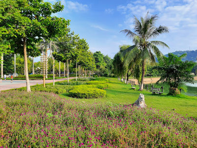 Nhac Son Park