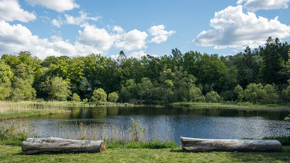 Floda
