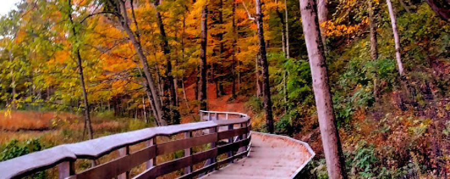 Rocky River Nature Center
