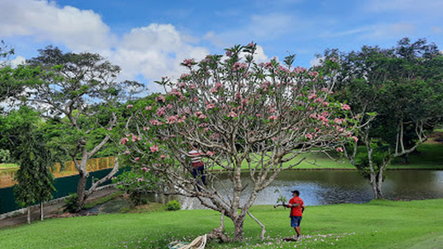 Iloilo Golf and Country Club