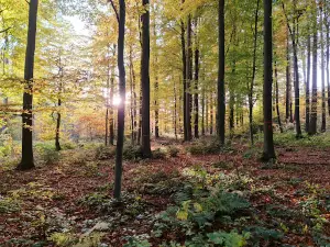 Wichtelpfad