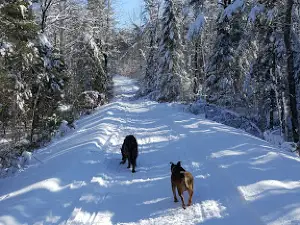 Shaw Park