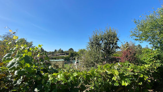 Otisheim
