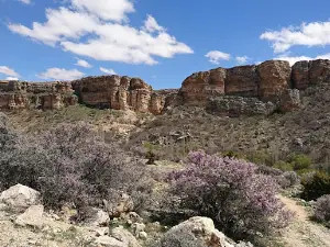 stone city