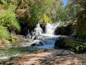 Alsea Falls Campground