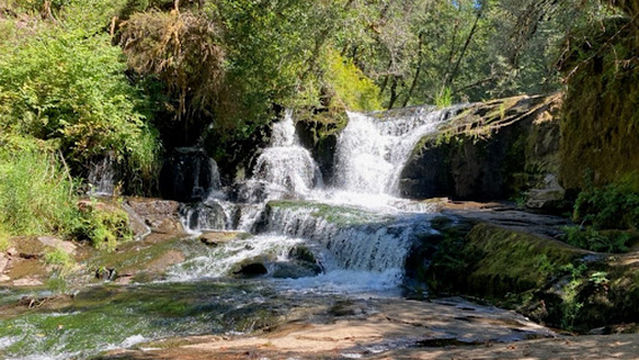 Alsea Falls Campground