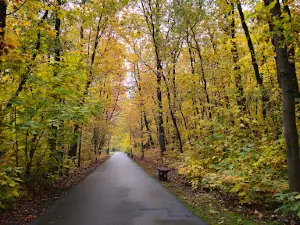 Park Wolności