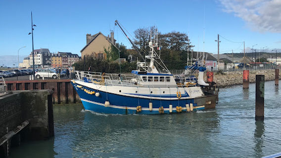 Le Tréport (haut des falaises)