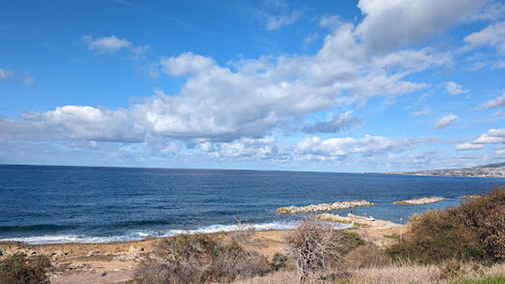Coastal Boardwalk