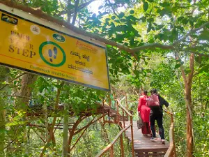 Canopy Walk - (ಮೇಲ್ಕಟ್ಟು ನಡಿಗೆ)