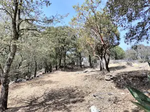 Archaeological Zone Toluquilla